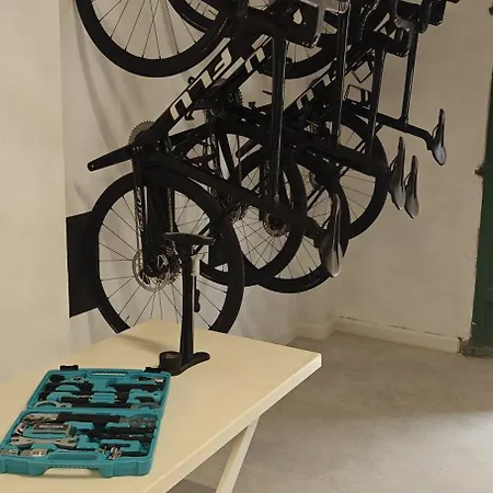 Albercutx Pollentia 1 2 3 *